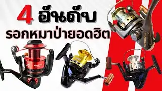 4อันดับรอกหมาป่ายอดฮิต