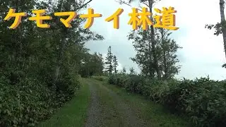 【ケモマナイ林道】北海道枝幸郡枝幸町(2025.08.12)