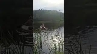 SUP BOARDING for beginners #supboard #adventure #supboarding #summer #watersport