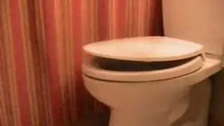Auto Toilet Lid Closer