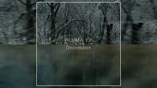 December - PLUMA EP (2019) (Full Album)