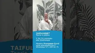 Registrazione webinar gratuito TAIFULNESS&trade; Tai Chi orientato alla Mindfulness - M&deg; Francesco Curci