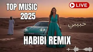 Habibi Oriental Dreams 🌌 24/7 LIVE | Silk Road Chill House 2025