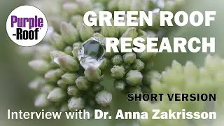 Green Roof Detention and Retention Research Interview with Dr. Anna Zakrisson (short)