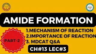 Amide Formation||Mechanism Of Amide Formation Ch#13 Lec#3 Part-2