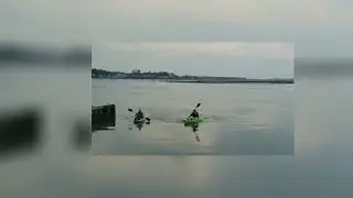kayaking and pics Chincoteague 