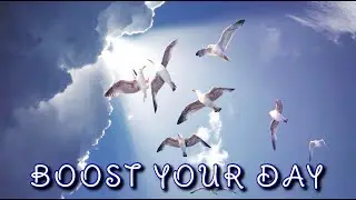 Morning Music For Positive Energy - Birds Sounds With Soothing Background Music To Boost Your Day