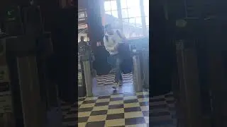 Shameless fare evader