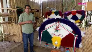 Danza de la pluma