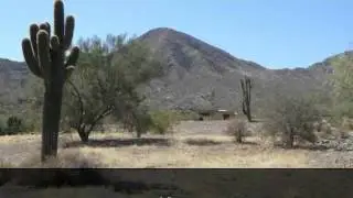 Estate-sized Home Site