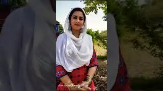 Sarrdaarni Punjab di | Aliza Sehar Vlogs | Aun Saeed Family Vlogs #Shorts