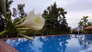 Memoria Palace & Resort