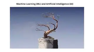 Welcome to Data_Solution_Link!