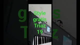 style#gratis#korg pa series