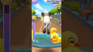 Pet Run🐭~Android gameplay video || 3D game video | game runway | gameplay video &radic;4Level #106 #shorts