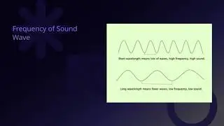 Class 9 SCIENCE | Sound | Complete Tutorial | ELCAAS