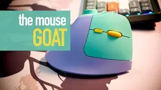 The Best Vertical Mouse For Wrist Pain (And 4 Other Good Ones)