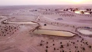 River Lake Dubai - Al Qudra Desert / seeking for Adventure & Explore