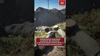 Rozpoczęła się budowa drogi ekspresowej S-8 na odcinku Łagiewniki-Jordan&oacute;w