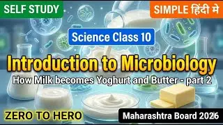 How Milk becomes Yoghurt and Butter part 2