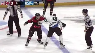 Wichita vs  Cincinnati, January 12, 2024