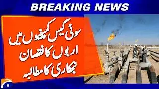 Billions in Losses at Sui Gas Companies &mdash; Privatization Demanded - Breaking News