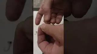 Nikko Pin Tail rigging