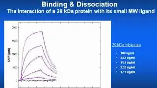 LamdaGen Binding Dissociation Slide04