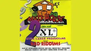 Stink Riddim (Instrumental) Produced by Dave Kelly - Xtra Large/Madhouse 1996