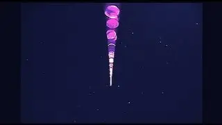 UFO Lou - 'Cutting room floor'  - 'Multiple sattelites' (I don't normally post these)