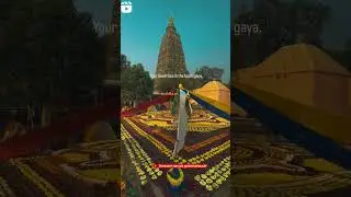 bhim song jay bhim song buddhist wedding lay majbut bhimacha killa ek bhayan ratila sapan padal