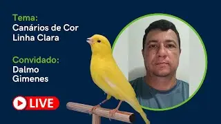 #53 - Canários de Cor, Linha Clara, com Dalmo Gimenes