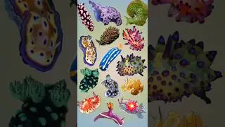 types of sea creatures #animals #shorts #scary #trending
