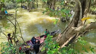Sylhet Tour (SadaPathor, Ratargul, Jaflong, Sripur Pahar)
