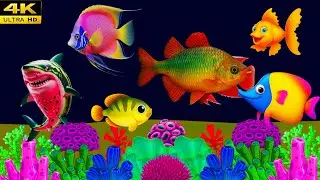 Baby Sleep Instantly Within 3 Minutes &hearts; Fish lullaby baby sleep music lullaby Mozart Lullaby Center