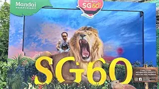 Singapore River Wonders @ Mandai Part 1 Jia Jia Kai Kai 🐋🐬🐟