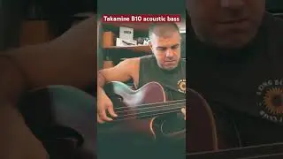 Is this the ultimate acoustic bass ? 🤔 ❤️   #bass #takamineguitars #bassplayer #fretlessbass #b10