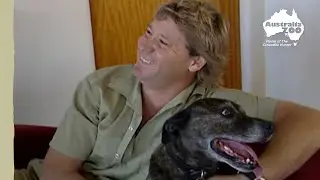 Bindi and Chandler throwback to Steve and Sui | Irwin Family Adventures