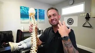 FULL BODY Chiropractic Adjustment with explanation
