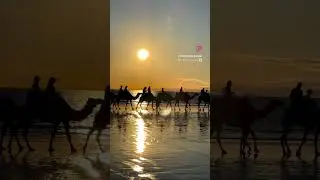 📍Cable Beach, Broome WA