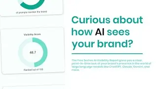 Seshes AI Visibility Report - How to Optimize For AEO