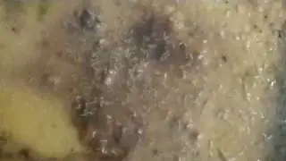 A Higher, More Intelligent Life Form - Helicopter View!