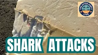 Surfer Thrown From Board - Another Shark Interaction in CA, Trivia Thursday 1/15/26
