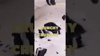 Больше хруста в каждом батончике