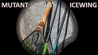 DRAGONtail MUTANT против ICEWING (прототип)