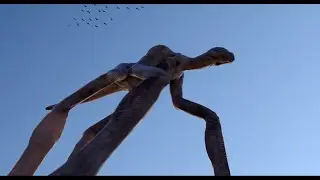 Fred Grant Director Reel 2020