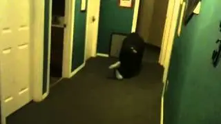 Full body tourettes