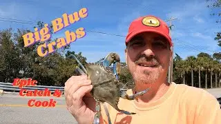 Last Day of Winter Crabbing! Ring Traps & Chicken Legs Success