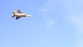 FMS F15