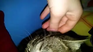 Koting na ł&oacute;żku😎😀😄